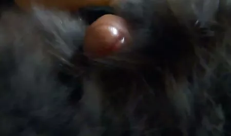 Hardcore, Creampie 472 regarder un film x gratuitement