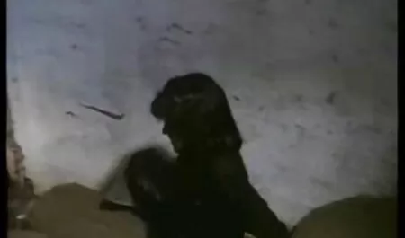 Beauté je voudrais voir film porno Sexy